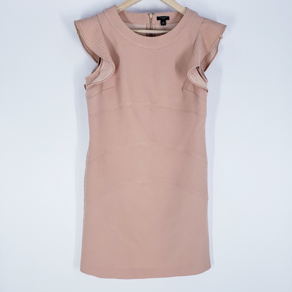 Ann Taylor Pink Flutter Sleeve Shift Dress